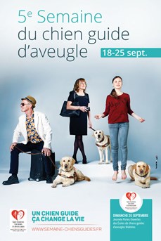Du 18 au 25 septembre 2016 : Semaine du chien guide d’aveugle
