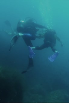 Un plongeur valide et un plongeur en situation de handicap explorent le fond de la mer